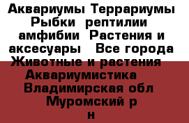 Аквариумы.Террариумы.Рыбки, рептилии, амфибии. Растения и аксесуары - Все города Животные и растения » Аквариумистика   . Владимирская обл.,Муромский р-н